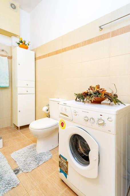 Rosa 'S House Apartman Palékasztro Kültér fotó